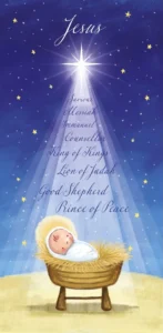 A pack of 10 The Leprosy Mission Christmas cards featuring a traditional Baby Jesus nativity illustration, measuring 10cm by 21cm, designed for the festive season.