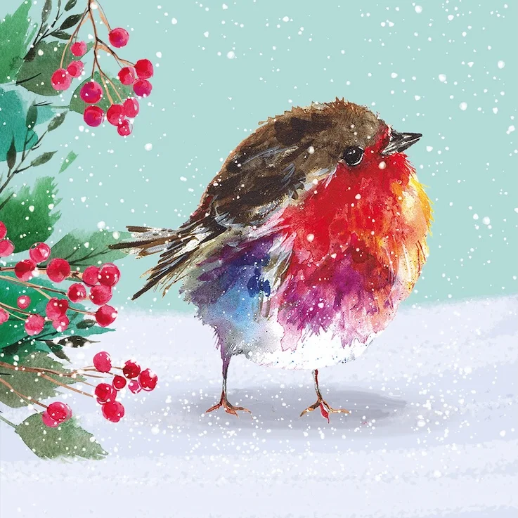 TLM - Winter Robin Christmas Cards (Pack of 10)