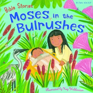 An illustrated children's story book featuring a colorful artistic scene of Moses in the bulrushes, designed for young readers of religious children's bibles.