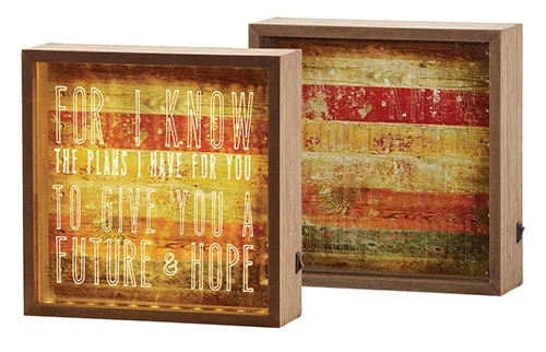 Jeremiah 29:11 Light Box