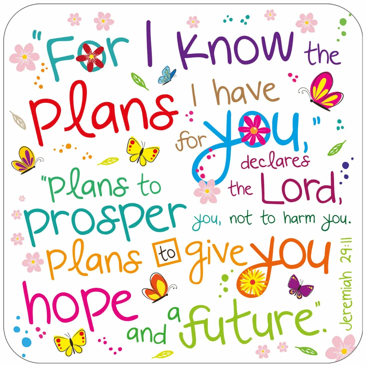I Know The Plans Coaster