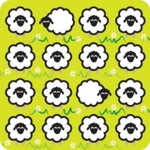 Sheep Coaster