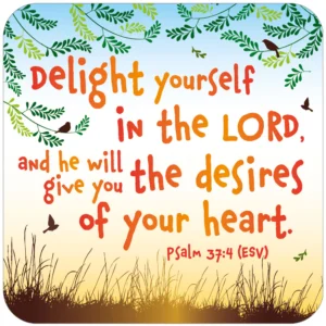 Delight Yourself Coaster