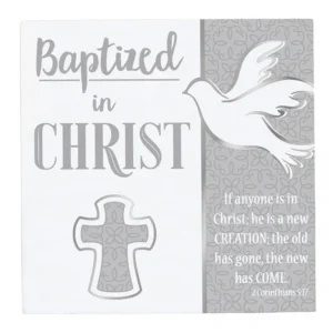Baptized in Christ Wall Plaque