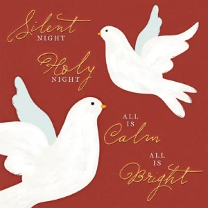 A pack of 10 FSC-accredited Food Bank Christmas cards featuring the Slight Night design, shown with matching envelopes.