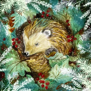 A pack of ten festive Christmas cards featuring an illustration of a sleepy hedgehog, part of the FSC accredited Food Bank Christmas cards collection.