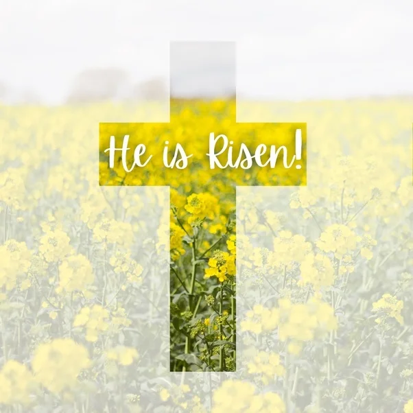 Pack of 10 - Food Bank He is Risen! Greeting Cards
