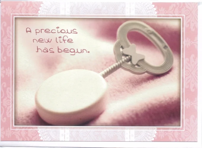 A Precious New Life Has Begun