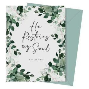 A boxed set of 12 beautifully designed encouragement cards, each featuring the comforting scripture 'He Restores My Soul Psalms 23:3'. These scripture cards are perfect for sharing messages of hope.