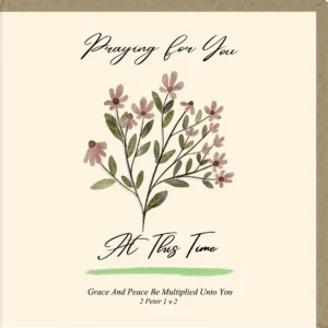 Praying For You At This Time Greetings Card