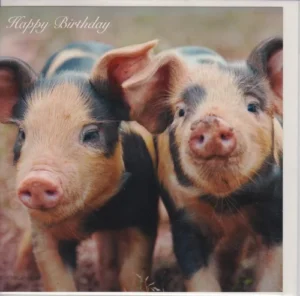 Piglets Printed Greetings Card