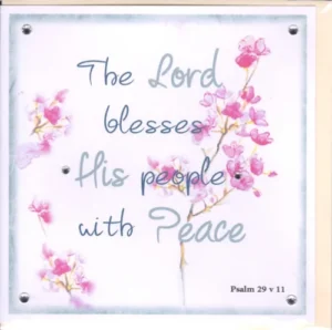 Potty Mouse The Lord Blesses His People Greetings Card