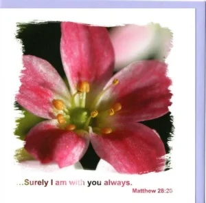 Surely I Am With You Pink