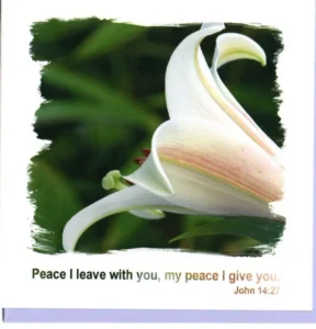 Peace I Leave