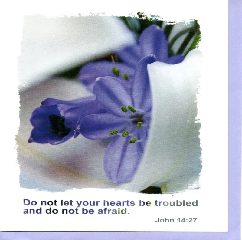 Do Not Let Your Hearts