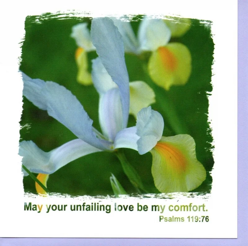 Unfailing Love