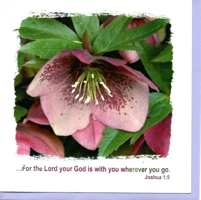 For the Lord Your God