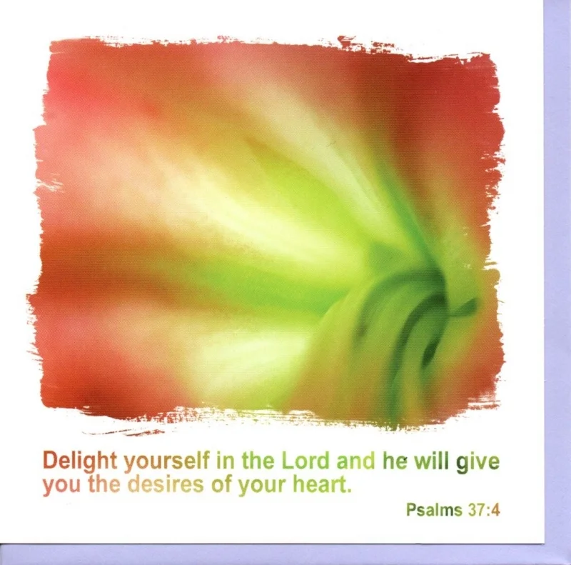 Delight Yourself