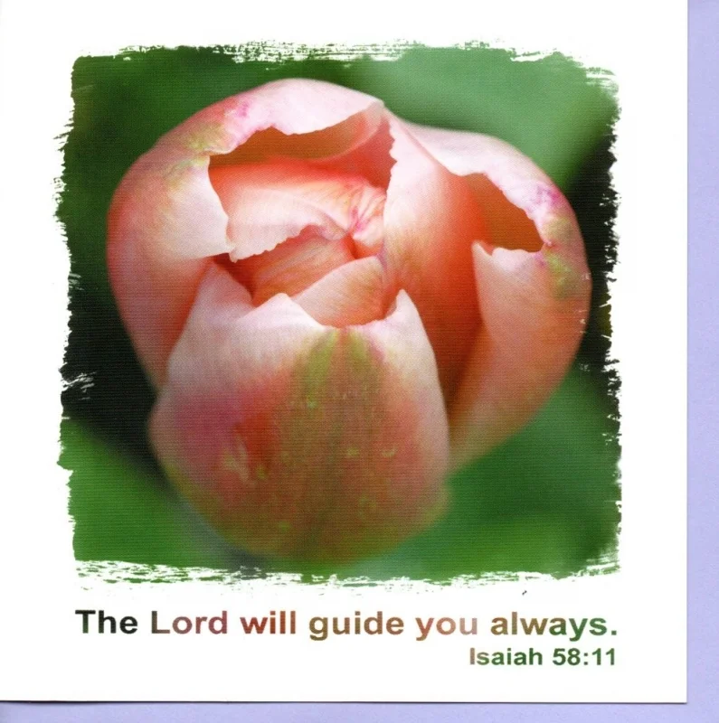 The Lord Will Guide You