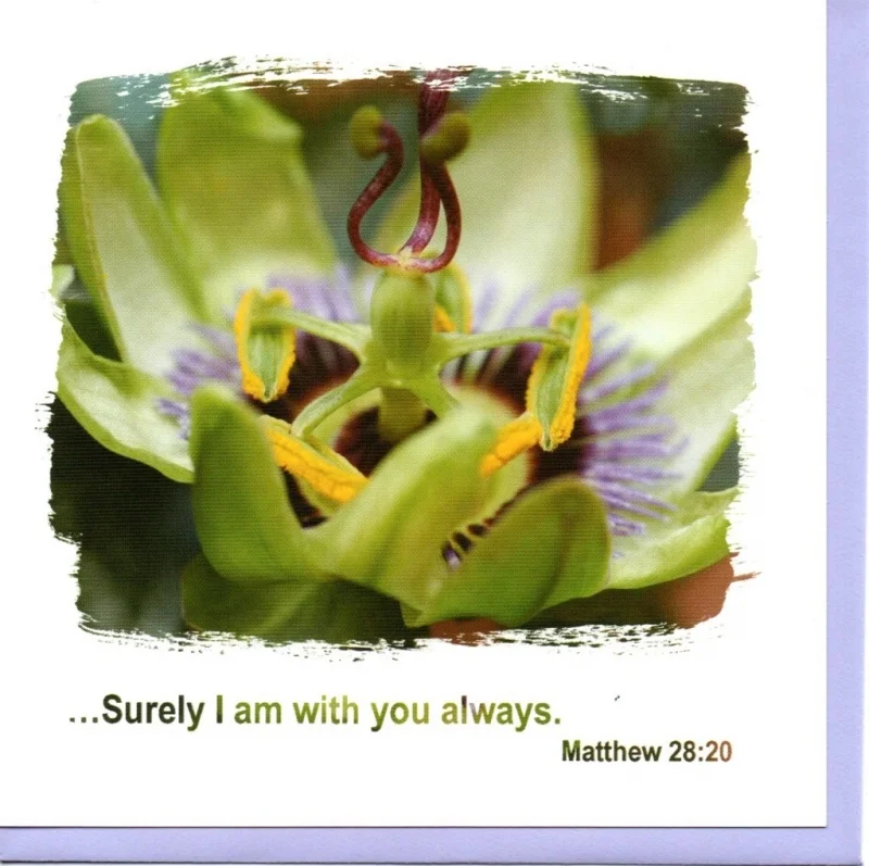 Surely I Am With You