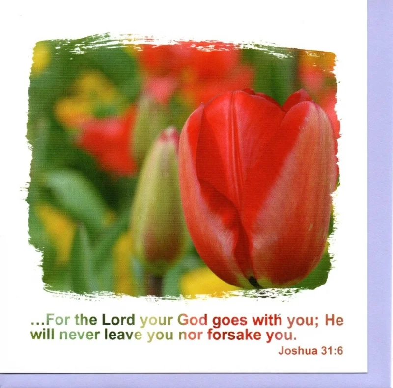 For the Lord Your God
