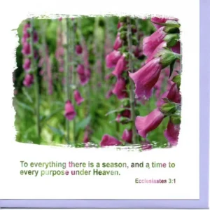 To Everything a Season