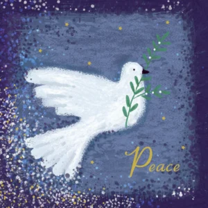 A pack of 10 high-quality Christmas cards featuring a peace dove illustration, part of the sustainable Tearfund Christmas cards collection printed on FSC accredited board.