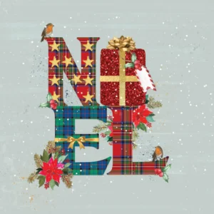 Pack of 10 Tearfund Noel Christmas cards, featuring festive designs perfect for sending holiday greetings. These high-quality cards are ideal for Christmas gift giving.