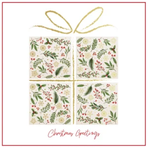 Pack of 10 Tearfund Christmas Present cards, featuring festive designs, perfect for sending season's greetings.