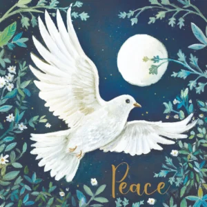 Pack of 10 Tearfund Christmas cards featuring a serene moonlit dove design, perfect for sending festive wishes during the holiday season.