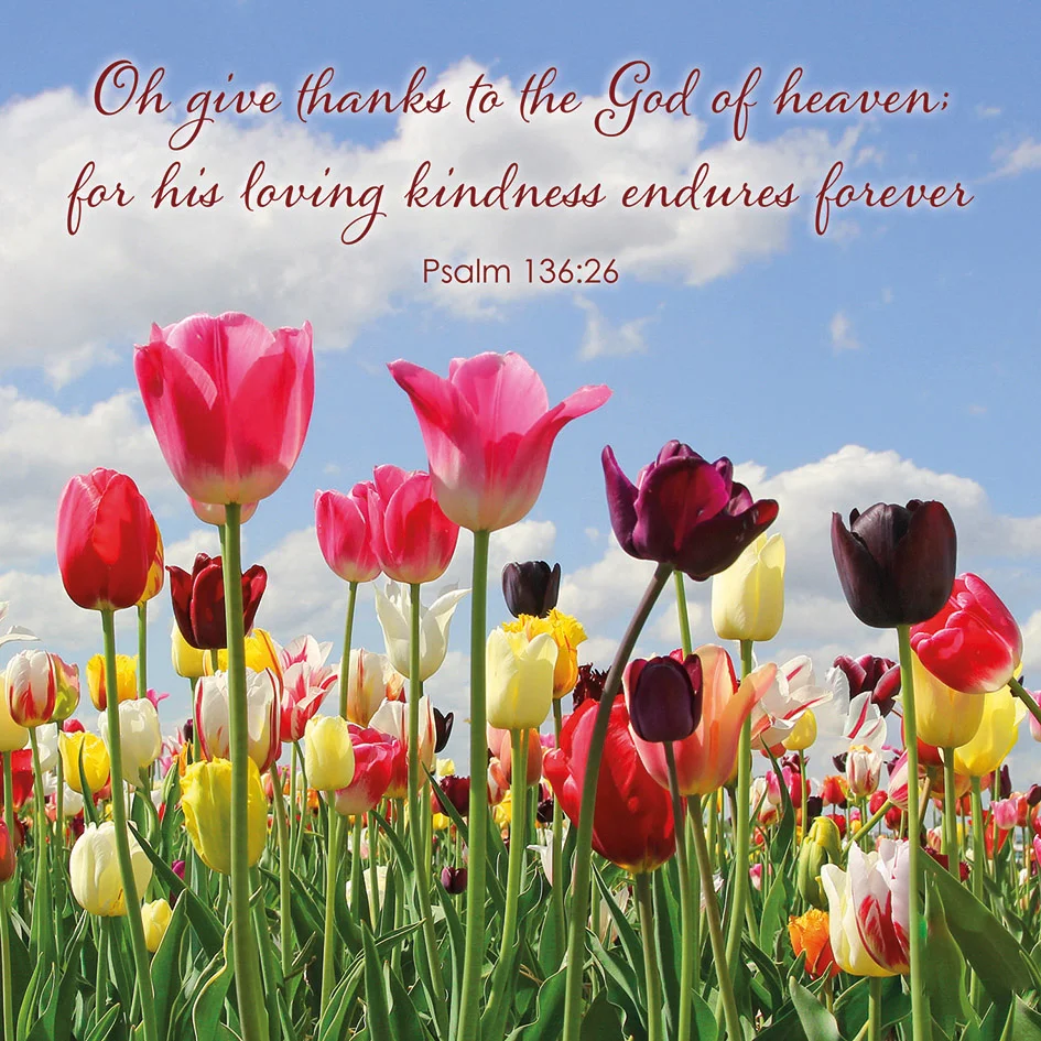 Spring Tulips Easter Cards (Pack of 4)
