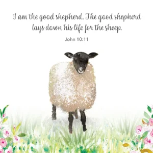Easter Lamb Cards (Pack of 4)