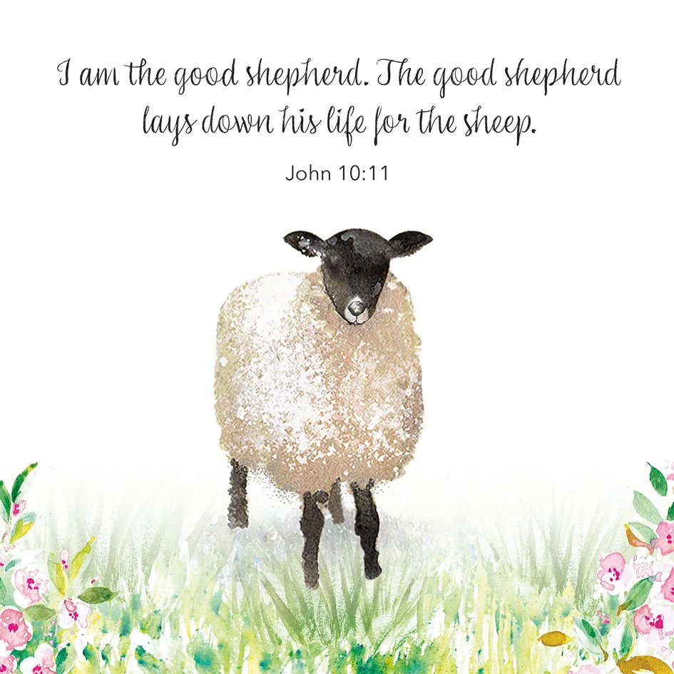 Easter Lamb Cards (Pack of 4)
