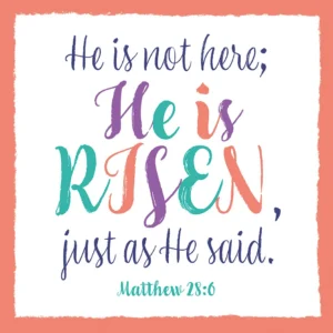 A pack of four exclusive He Is Risen religious Easter greeting cards featuring Matthew 28:6 Bible verse typography and floral illustrations.